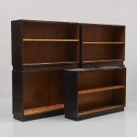 509591 Bookshelves